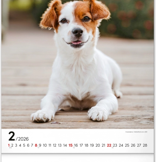 Calendario da parete Cani 2026