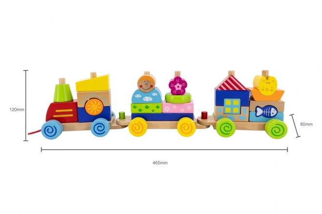 Wooden Train Pull Toy and Puzzle