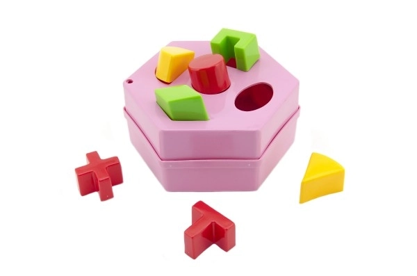 Hexagonal Shape Sorter Toy