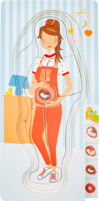 Layered Pregnancy Puzzle