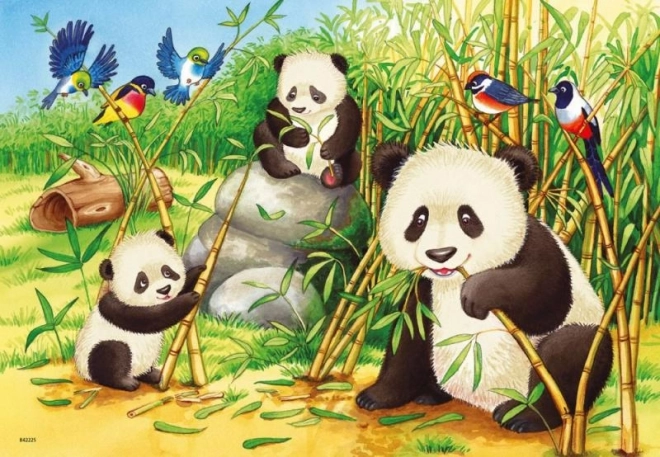 Cute Koalas and Pandas Puzzle