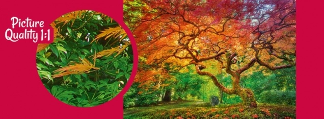 Cherry Pazzi Tree Crown Puzzle 1000 Pieces