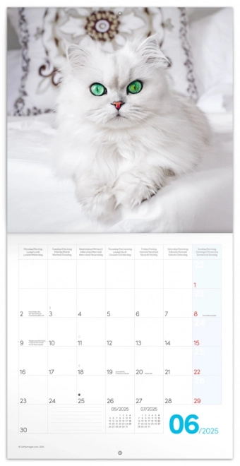 Notique Kittens Wall Calendar 2025