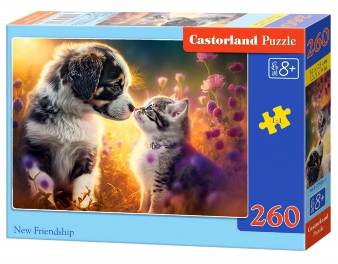 Kitten and Puppy New Friendship Jigsaw Puzzle 260 Pieces