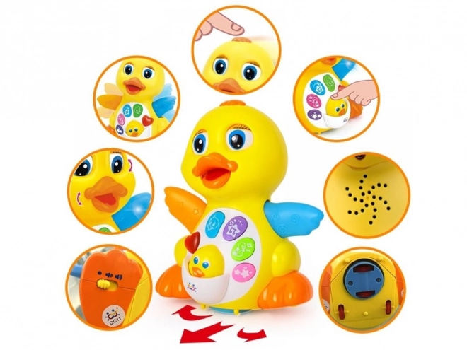 Interactive Musical Duck Toy