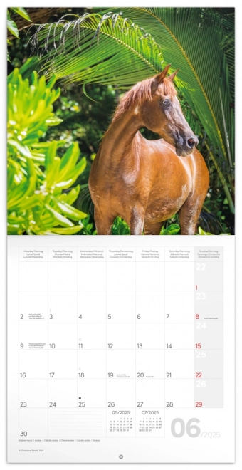 Notique Horse Calendar by Christiane Slawik 2025