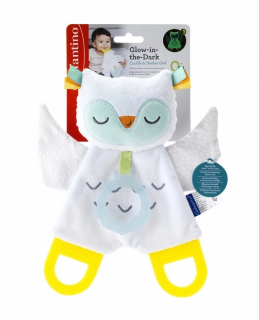 Infantino Glowing Owl Teether Toy