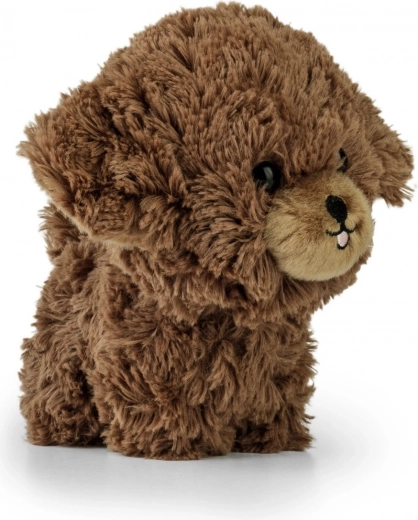 Prisrčni detajli za živahen izraz