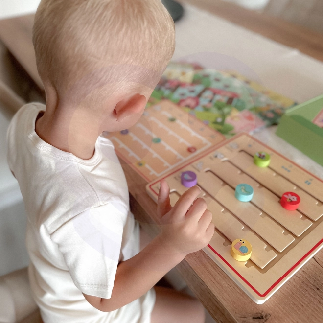 Tooky Toy gioco in legno Imparare a contare gli animali