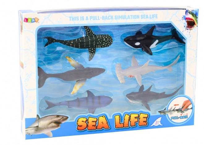 Friction-Powered Marine Animal Vehicle Toys