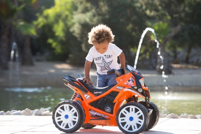 Electric Children's Quad Bike The Beast 6V by Injusa