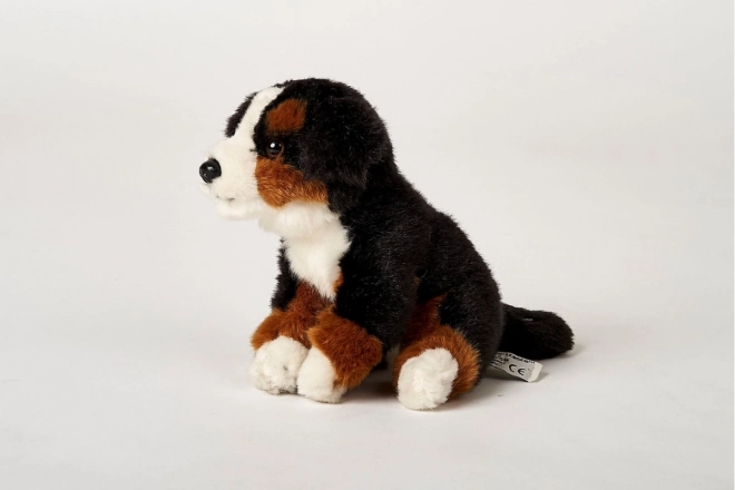 Plush Bernese Mountain Dog Toy