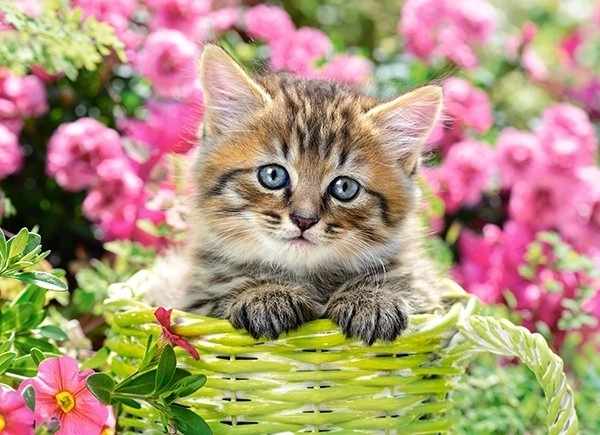 Kitten in Flower Garden Puzzle