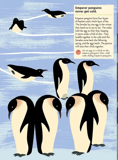 My Nature: Birds of the World Activity Book with Stickers