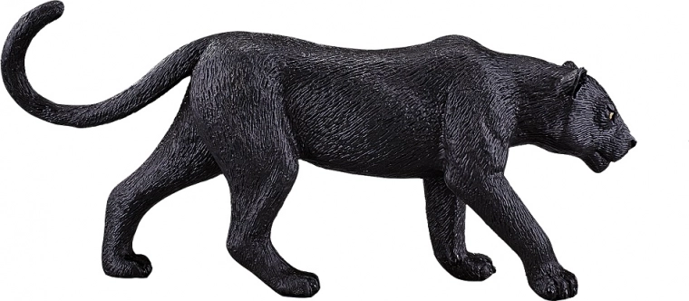 Izobraževalna in zbirateljska vrednost