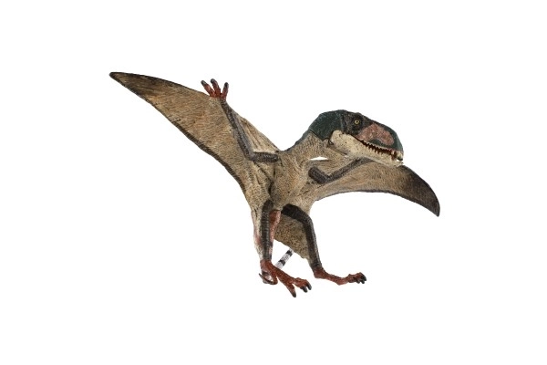 Flying Dinosaur Pterosaur Toy 15cm in Bag