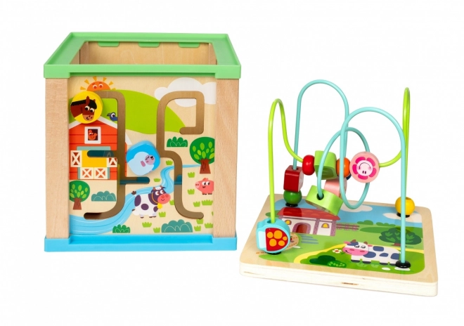 Wooden Activity Cube