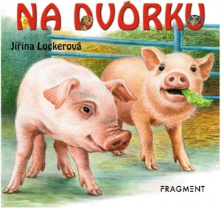 Board Book In the Backyard