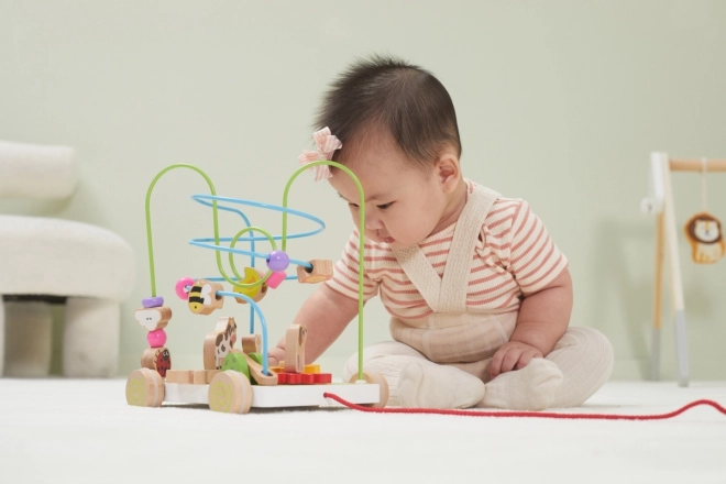 Wooden Pull-Along Maze Toy