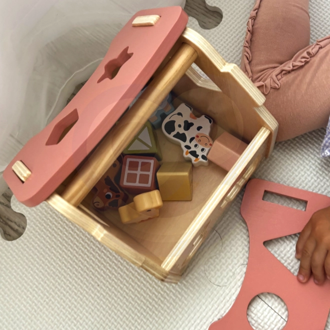 WOOPIE Fattoria di Legno Giocattoli di Smistamento e Colori 13 pz