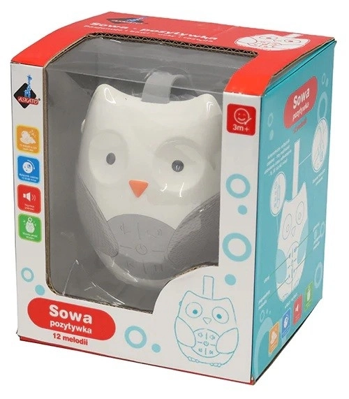 Interactive Musical Owl Toy