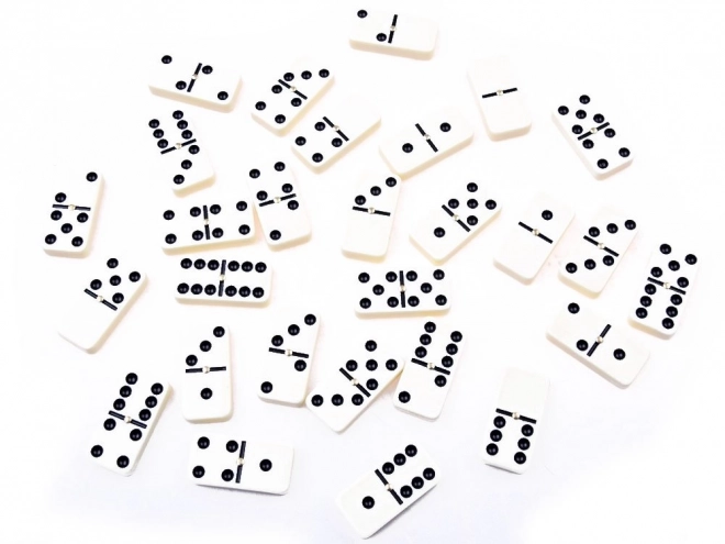 Logical Domino Game in Elegant Box