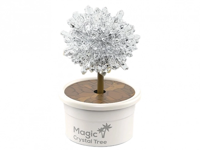 Magic Crystal Growing Kit