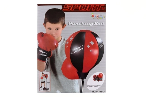 Boxing Set for Kids