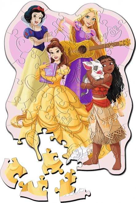 Wooden Outline Puzzle Disney Princesses