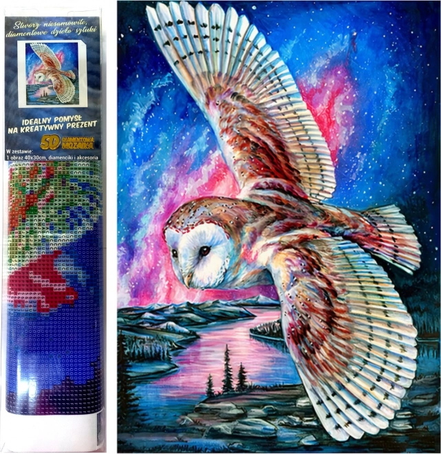 Diamond Painting Owl Flight 30x40 cm