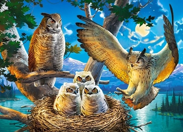 Colorful Owl Family Puzzle