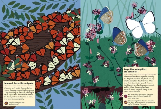 My Nature Activity Book with Stickers - Butterflies of the World