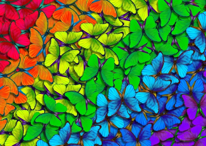 Enjoy puzzle - Rainbow Butterflies 1000 piece