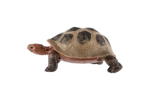 Large Seychelles Land Tortoise Toy, 8cm