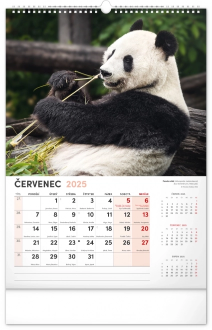 Notique Wall Calendar Most Interesting Animals 2025