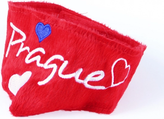 Design praghese accattivante