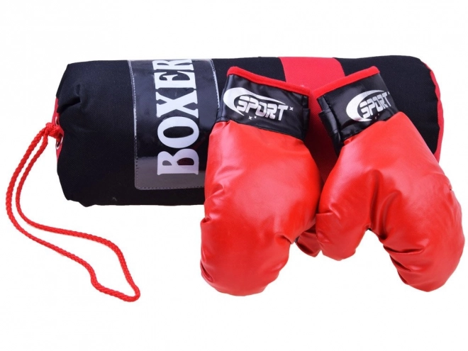 Boxing Set Gloves and Punch Bag