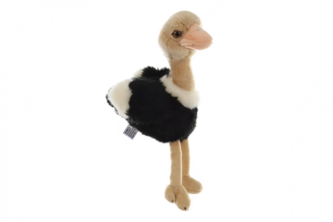 Eco-Friendly Plush Ostrich