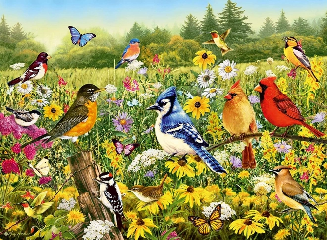 Ravensburger Birds in the Meadow Puzzle 500 Pieces