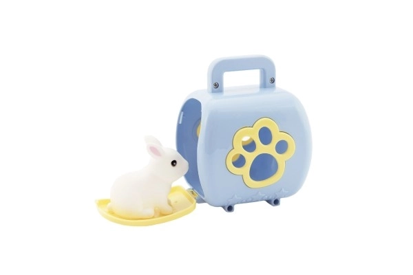 Pet Transport Box with Figure