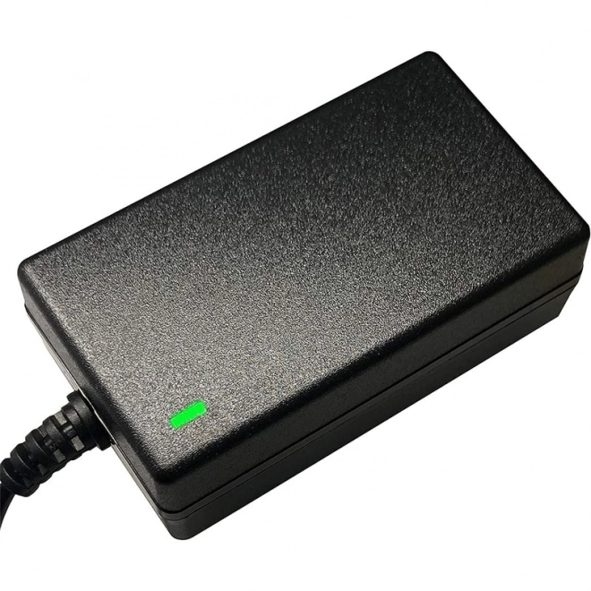 Charger 12V for Electric Vehicles & Toy Batteries