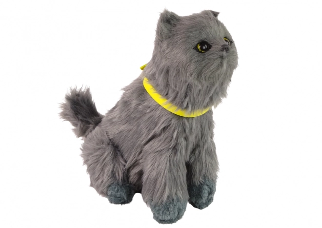 Interactive Plush Cat Toy