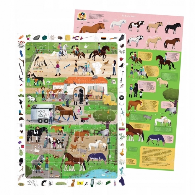 Observational Puzzles Horse Stable