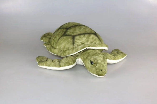 Plush Turtle Toy