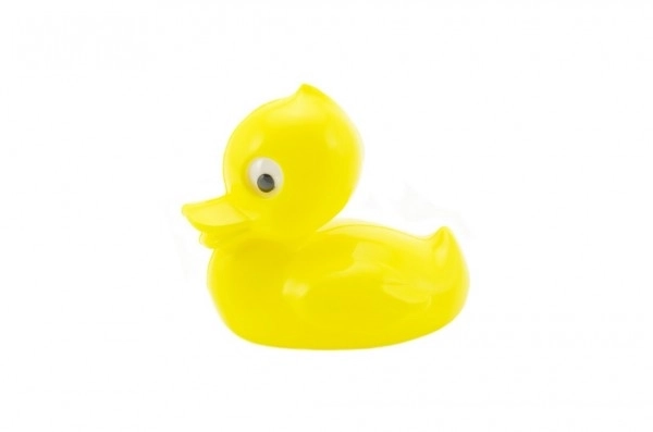 Duck Water Toy