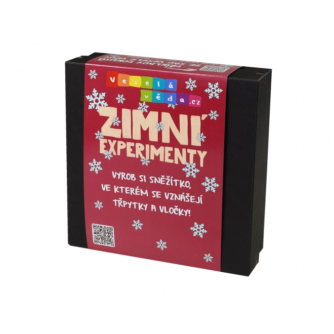 Winter Science Experiments Set