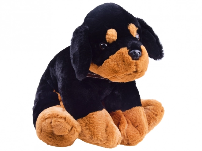 Plush Puppy Soft Toy