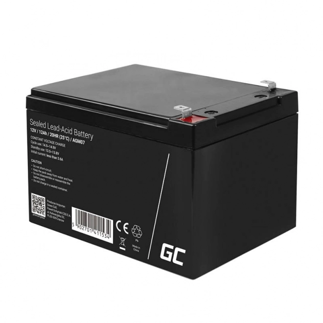 Rechargeable AGM VRLA Battery for UPS and Motor