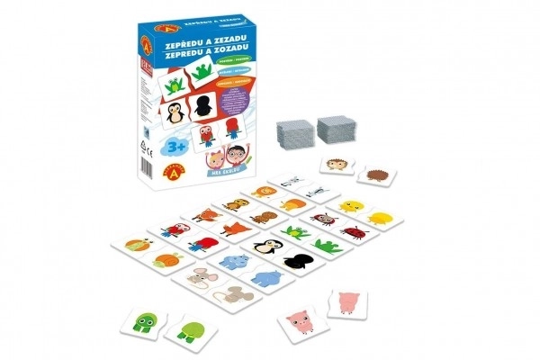 Creative And Educational Game Front To Back