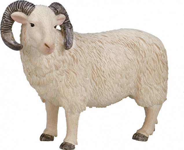 Élethű modell játékhoz és tanuláshoz